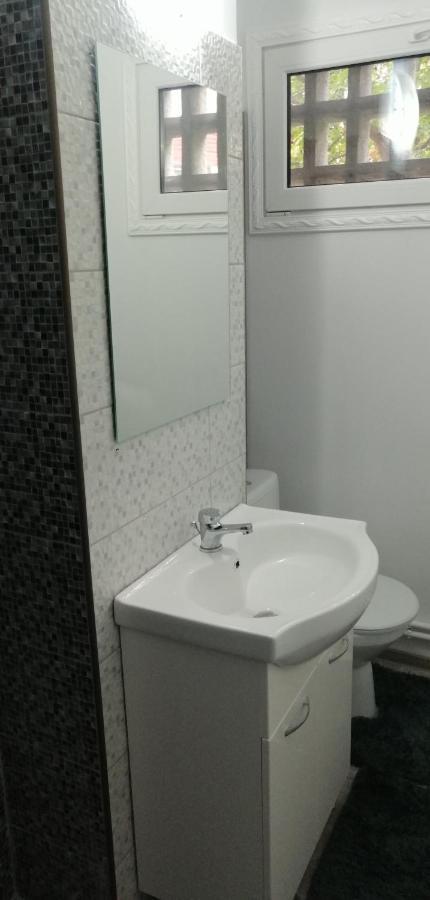 Central City Apartment Bacau Bagian luar foto